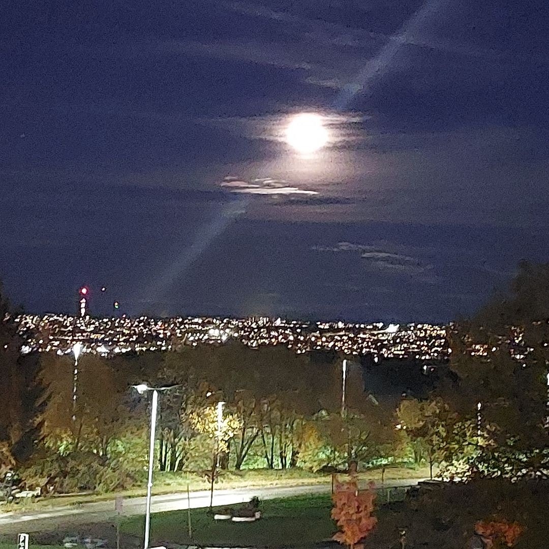 Magisk kveld i Trondheim med Tyholttårnet i horisonten og månen som lyser opp nattehimmelen. Galleribilde
