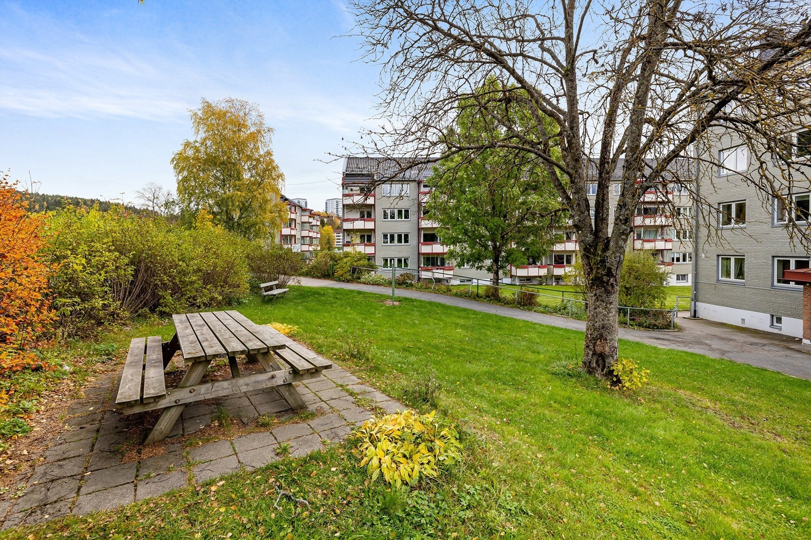 Hyggelig borettslag. Galleribilde
