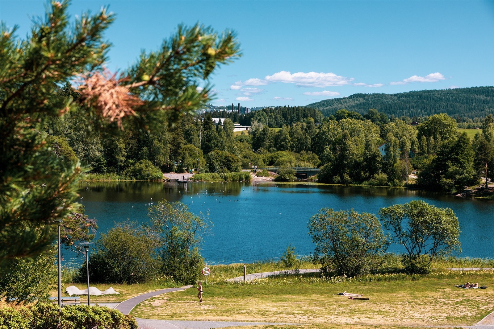 Rådhusparken er blitt Lørenskogs nye utendørs storstue. Den ligger i en helning ned mot det vakre Langevannet. Her kan man ta seg en løpetur, bade eller bare nyte en varm sommerdag. Galleribilde