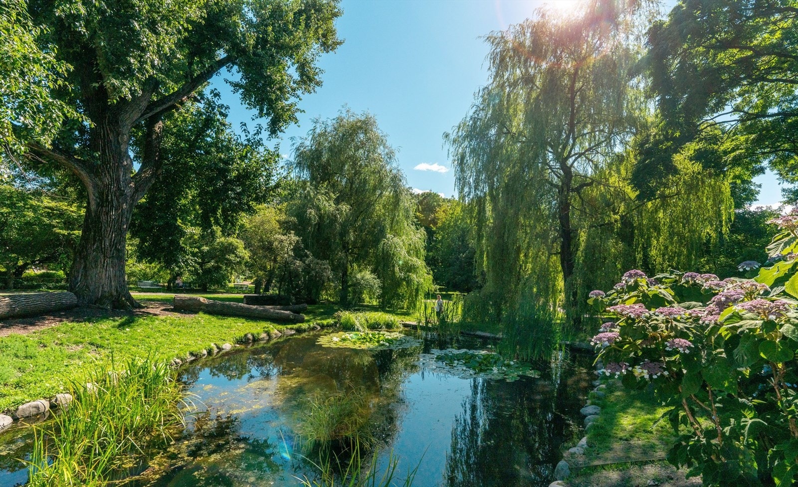 Leiligheten befinner seg supersentralt ved flere parker og Botanisk hage. Galleribilde