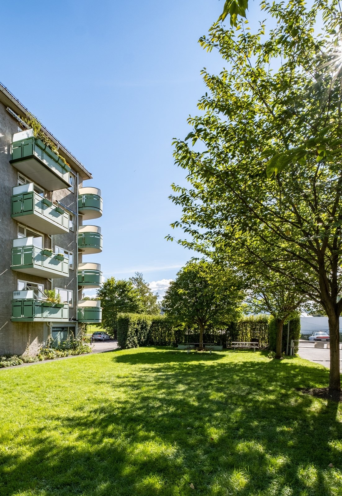Grønne, parkmessige fellesareal Galleribilde
