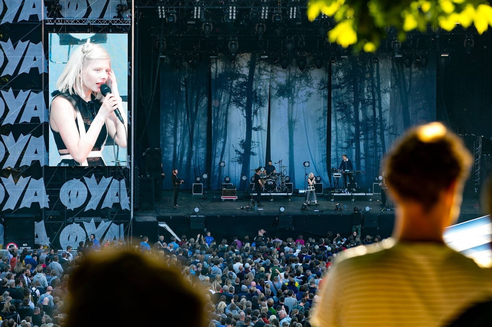 Tøyenparken ligger like ved, hvor blant annet Øyafestivalen holdes hvert år. Galleribilde