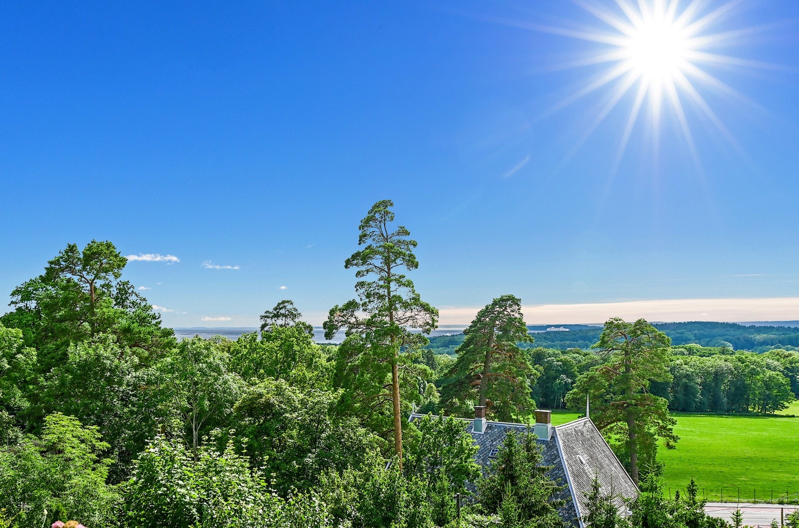 Her er det ingen gjenboere, ingen trafikk og terrassehuset grenser til grønne friarealer på alle kanter. Galleribilde