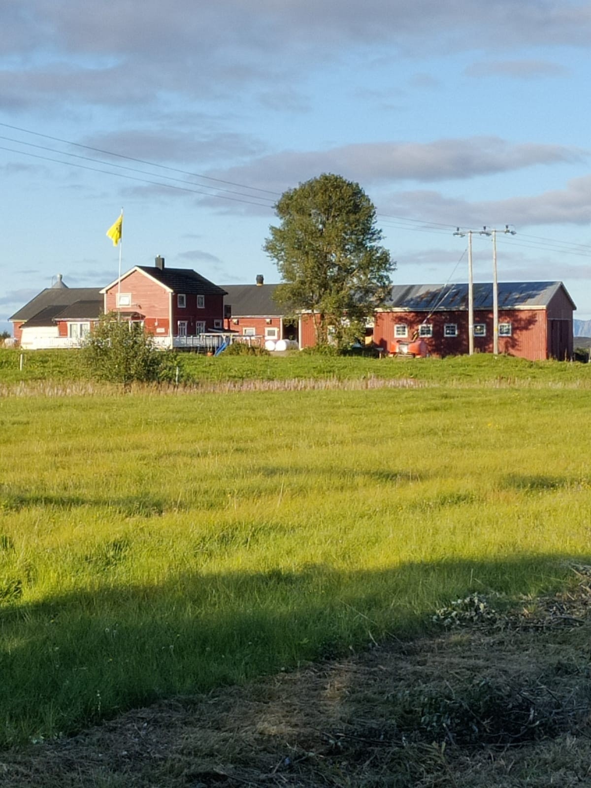 Gårdstun Galleribilde