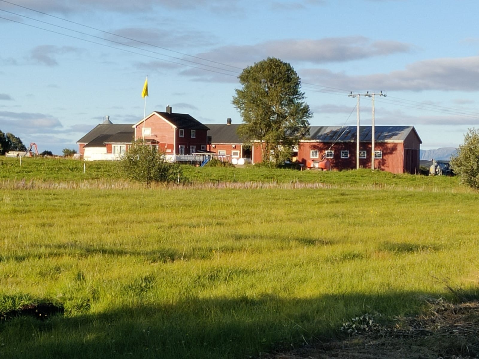 Gårdstun Galleribilde