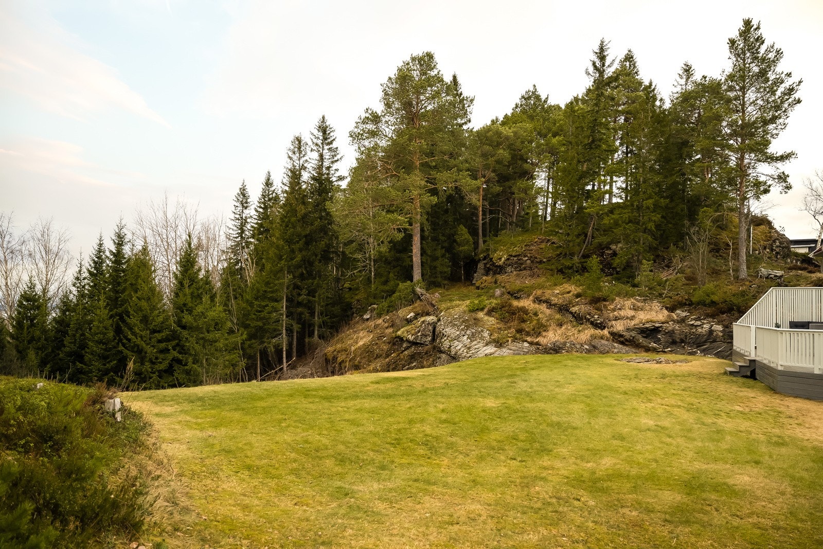 I tillegg har man også flotte skiløyper på Frigården og Selbuskogen kun en kort kjøretur unna. Galleribilde
