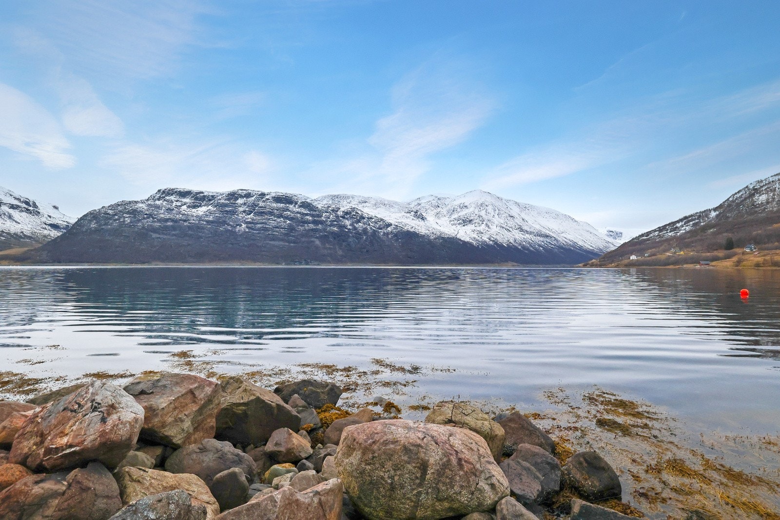 Detalj fjære Galleribilde