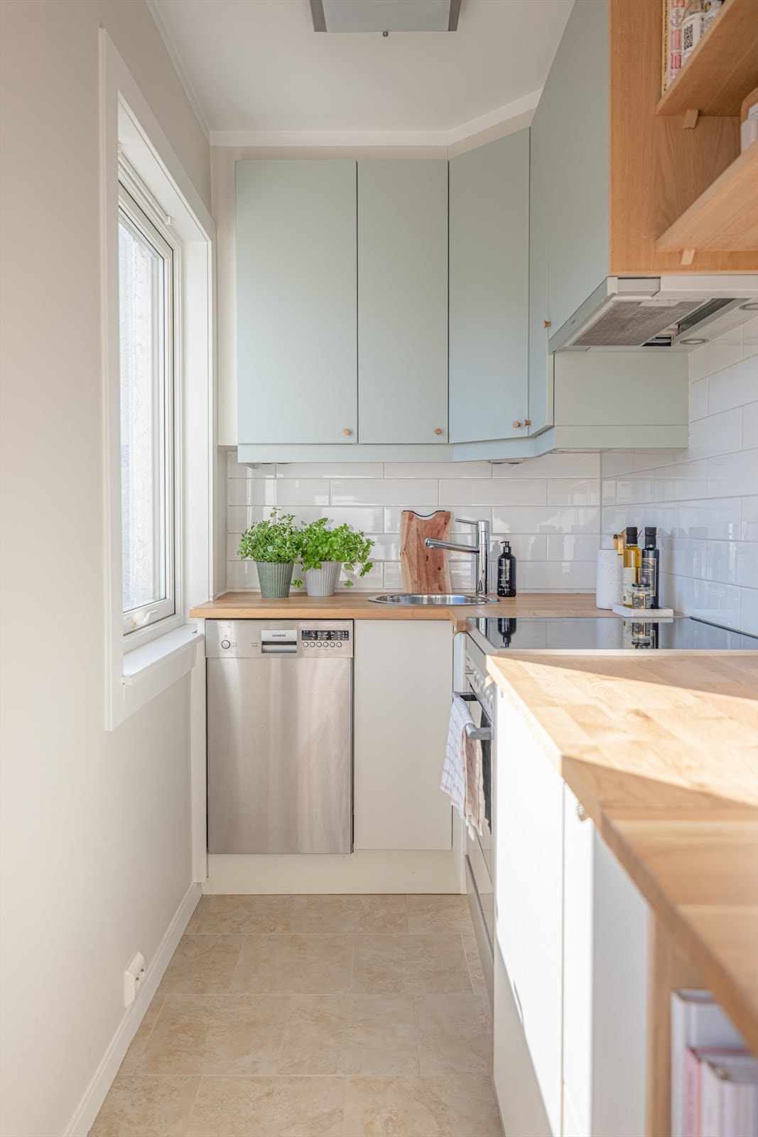 Alle vinduer fra 2011 Galleribilde