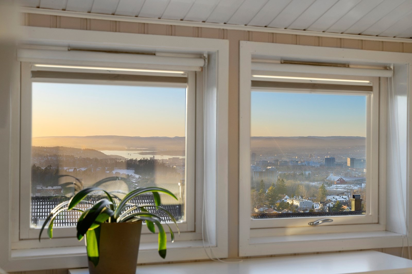 Fra rommet er det flott utsikt og godt med naturlig lysinnslipp Galleribilde