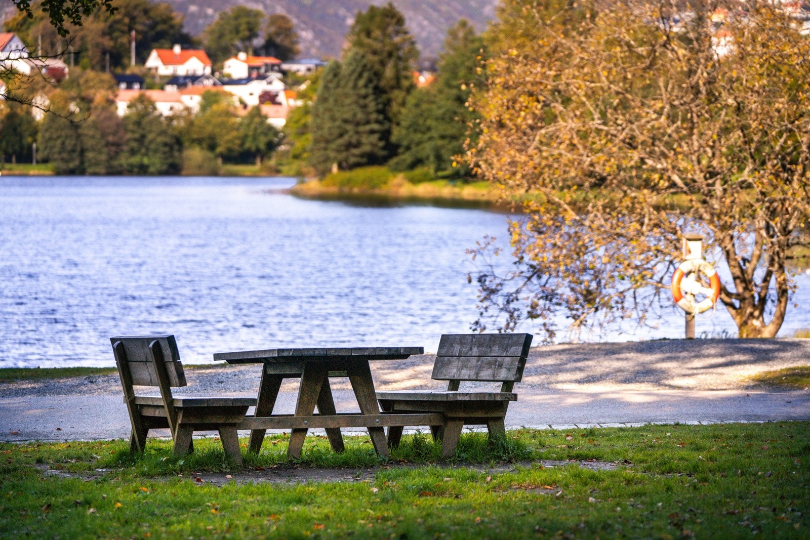 Tveitevannet Galleribilde