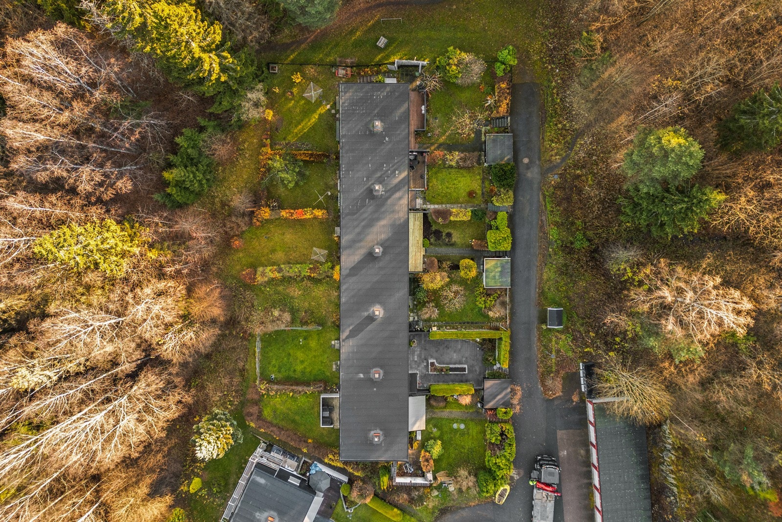 Hagen grenser mot et friareal, og her er det en koselig skog som gjør det hele skjermet. Galleribilde