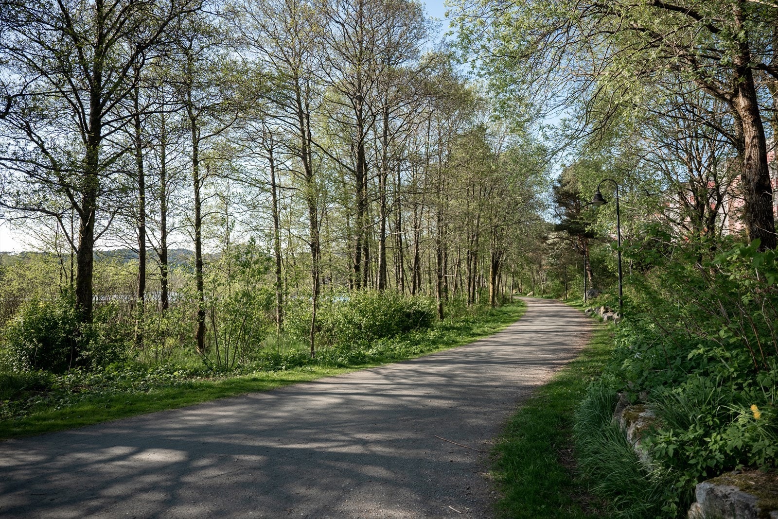 - Ortuvannet er perfekt for en rolig søndagstur eller en joggetur - Galleribilde
