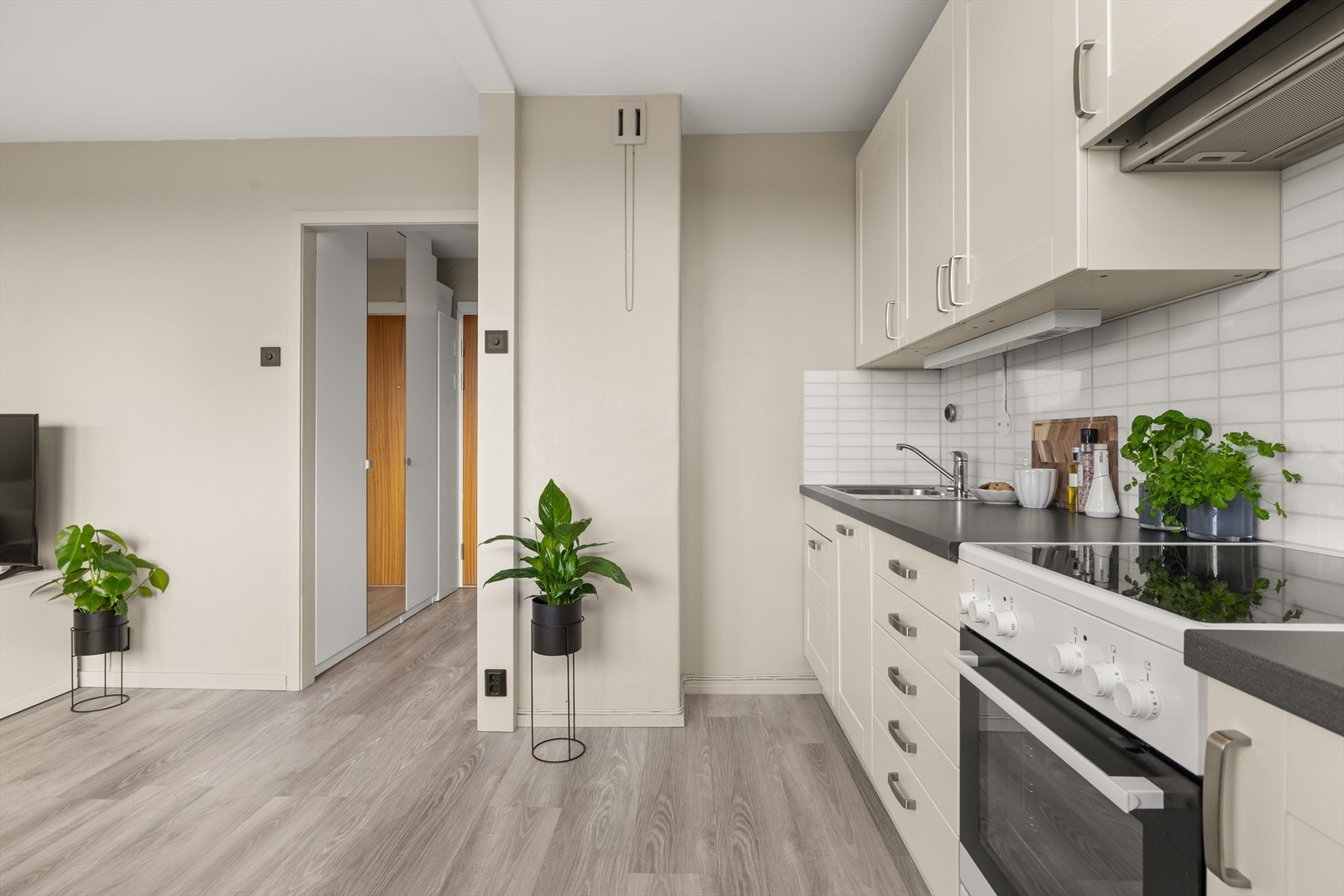 Perfekt førstegangskjøp! Galleribilde