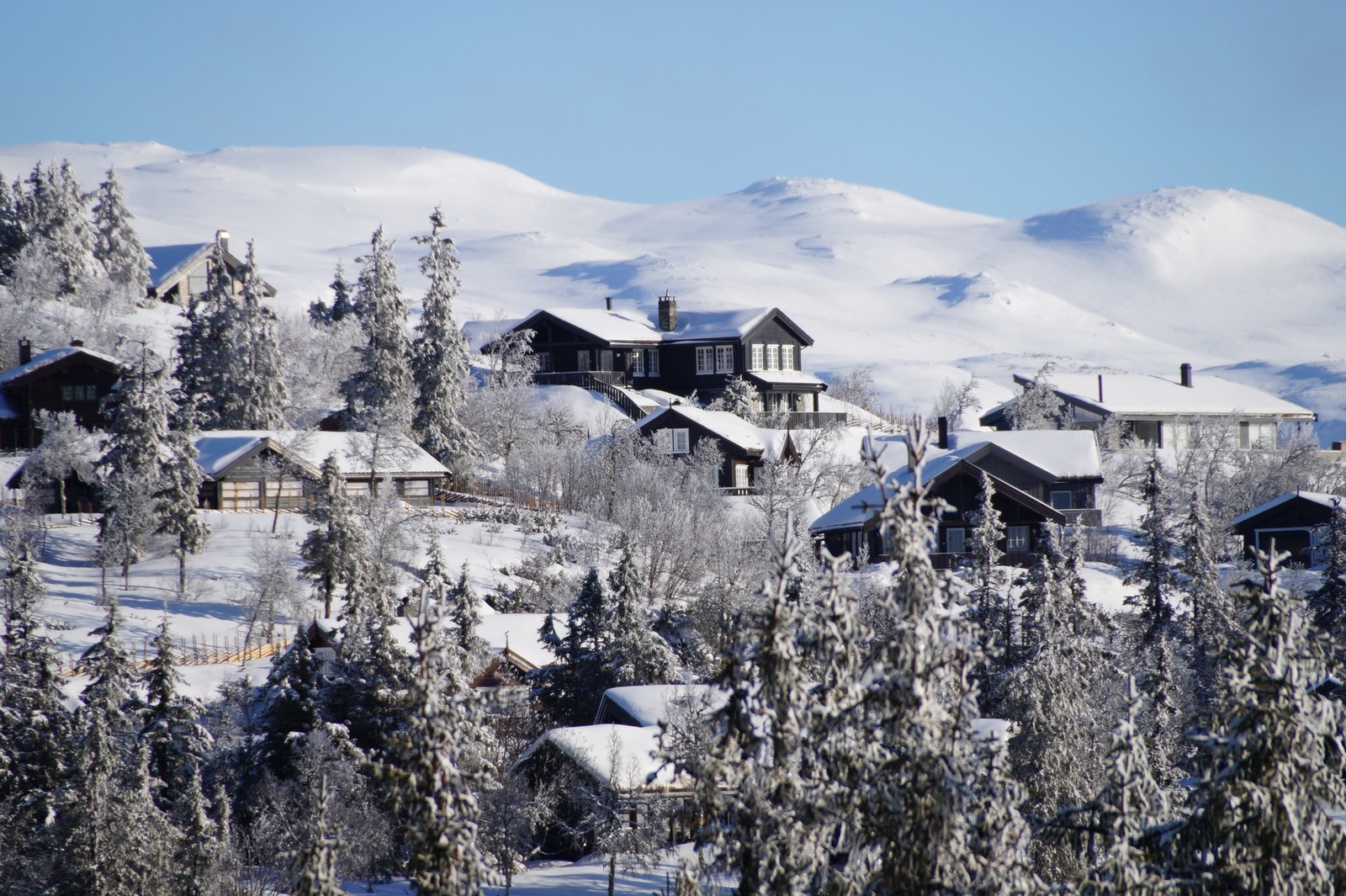Nydelig fjell i bakgrunn Galleribilde
