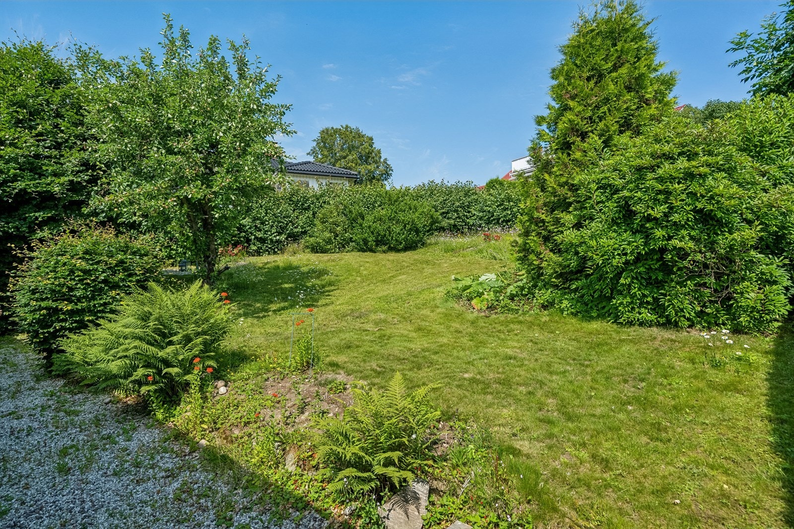 Innholdsrik hagen med rabarbra, jordbær og modne busker og trær, perfekt for familier som liker å stelle i hagen! Galleribilde