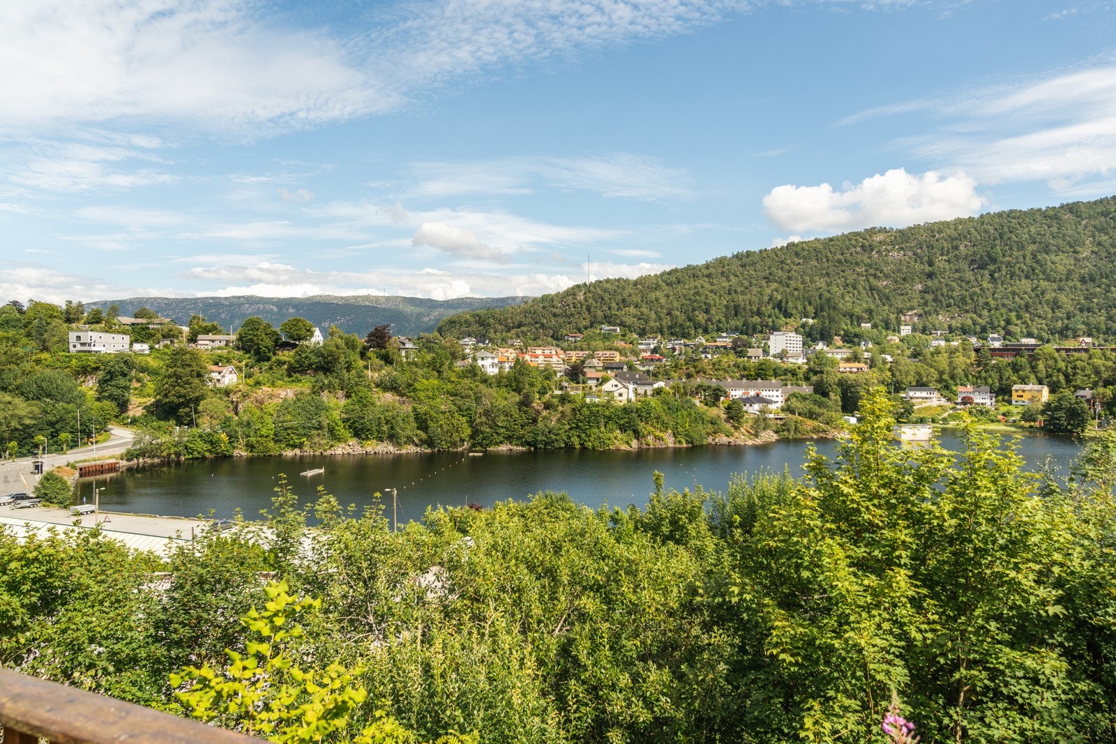 Nyt varme sommerdager med venner og familie. Galleribilde