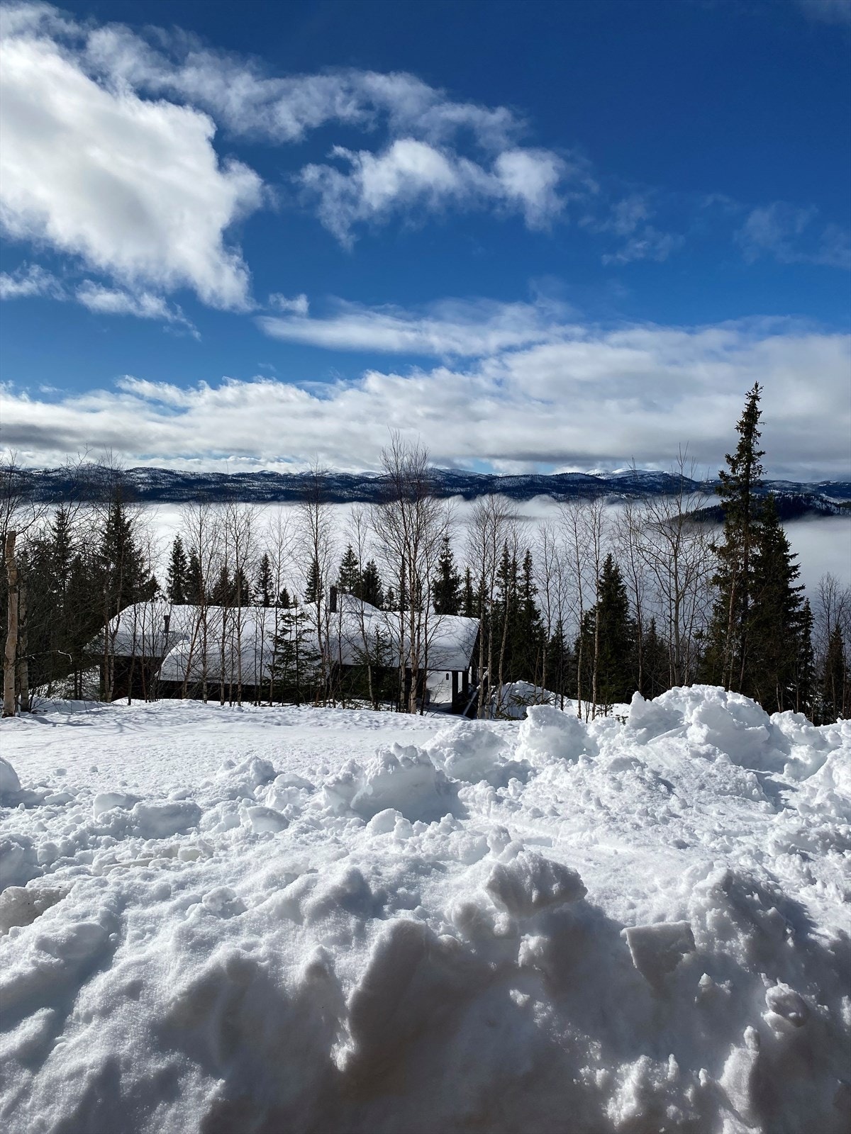 Utsikt fra hytta - Selgers bilde Galleribilde
