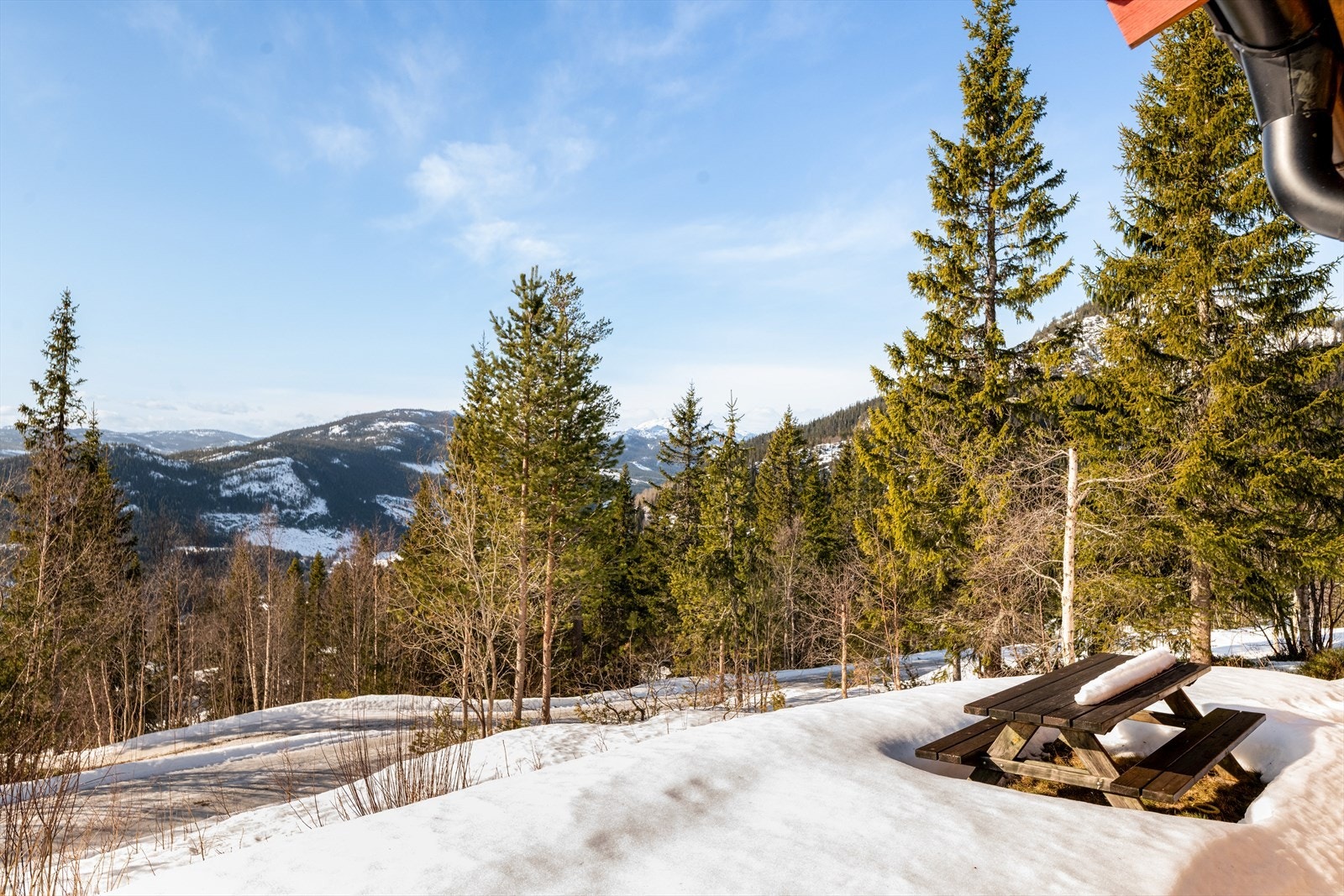 Området består av spredt fritidsbebyggelse og rundt hytta finnes det skogkledde lier og vakker natur så langt øyet rekker! Galleribilde
