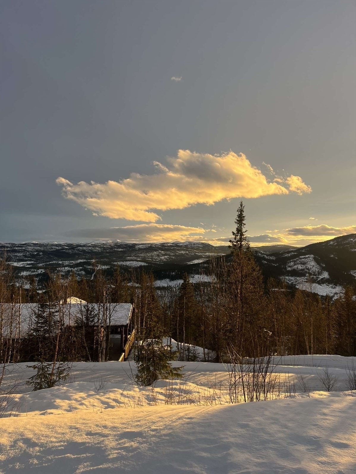 Utsikt fra hytta - Selgers bilde Galleribilde