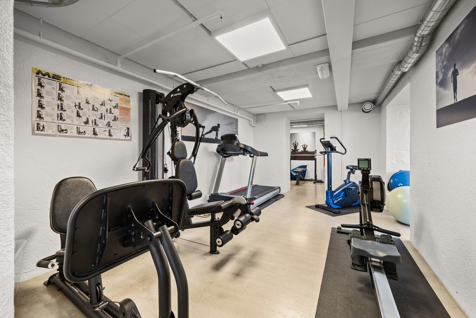 Felles trimrom Galleribilde