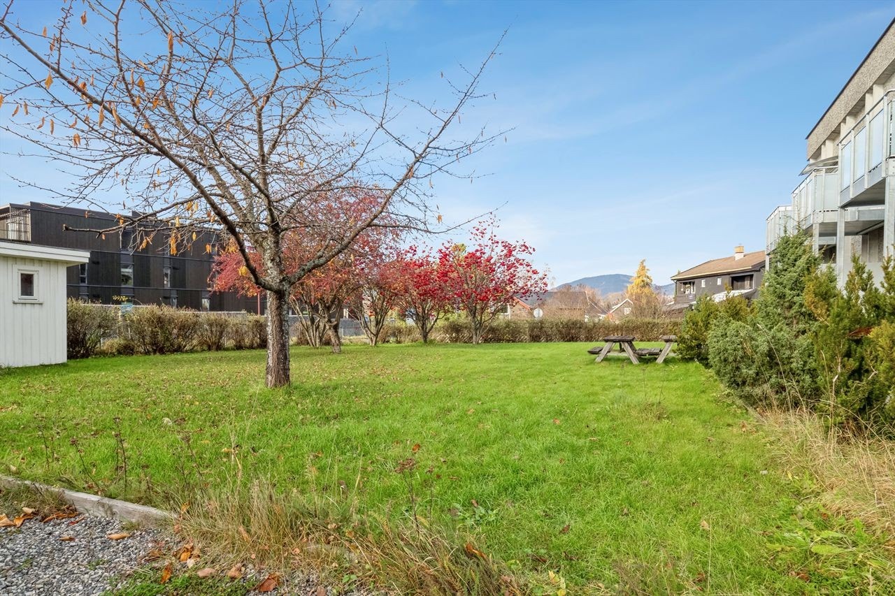 Felles grøntområde mot vest Galleribilde