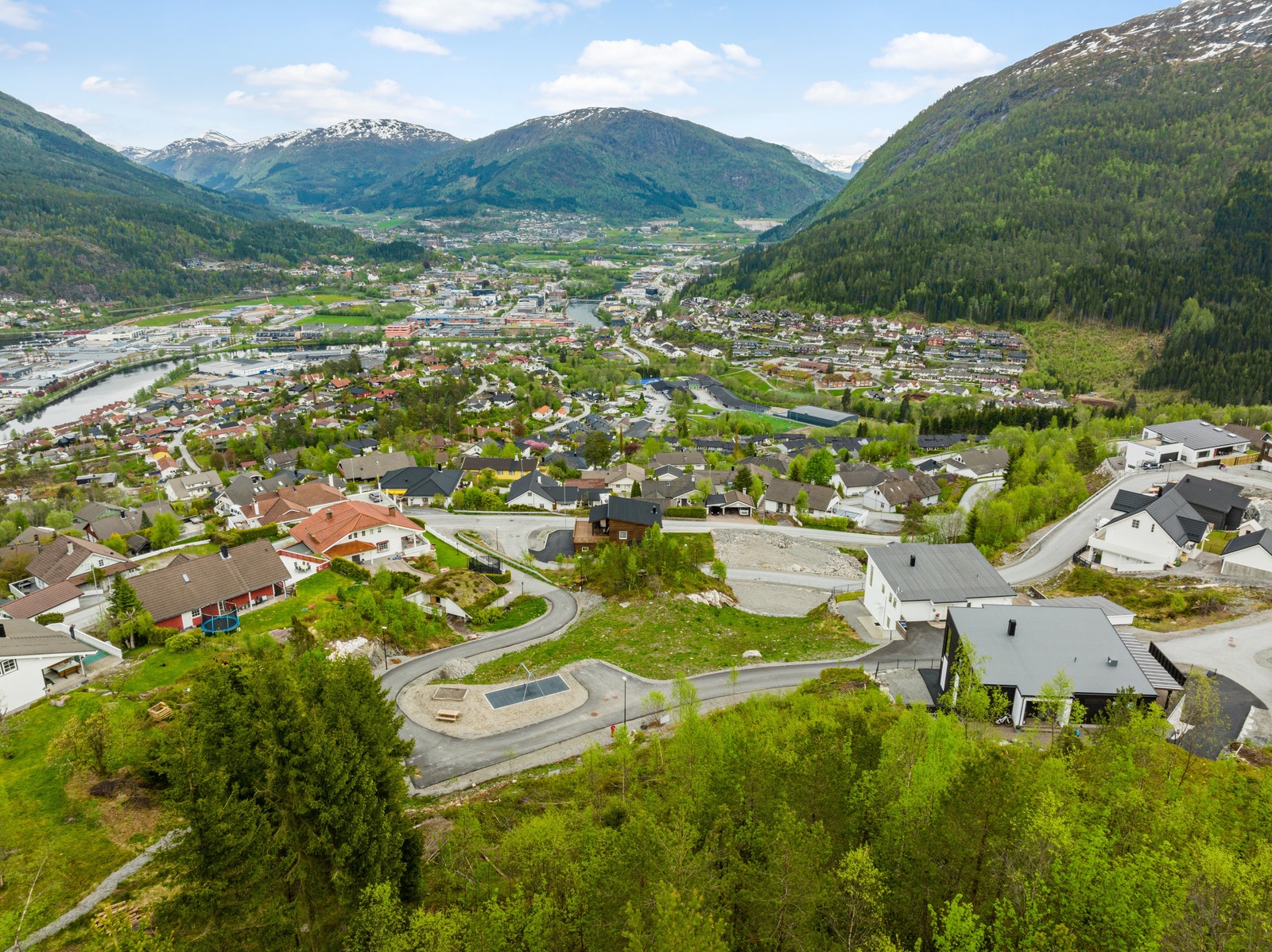 Blåbærlia Galleribilde