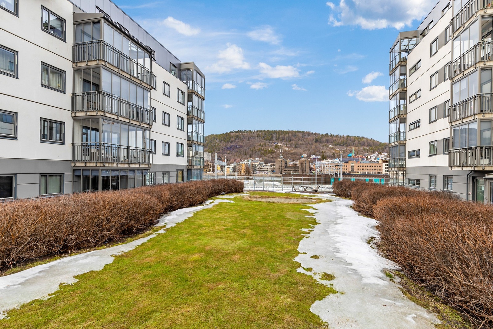 Felles hage med gressplen og sittegrupper. Galleribilde