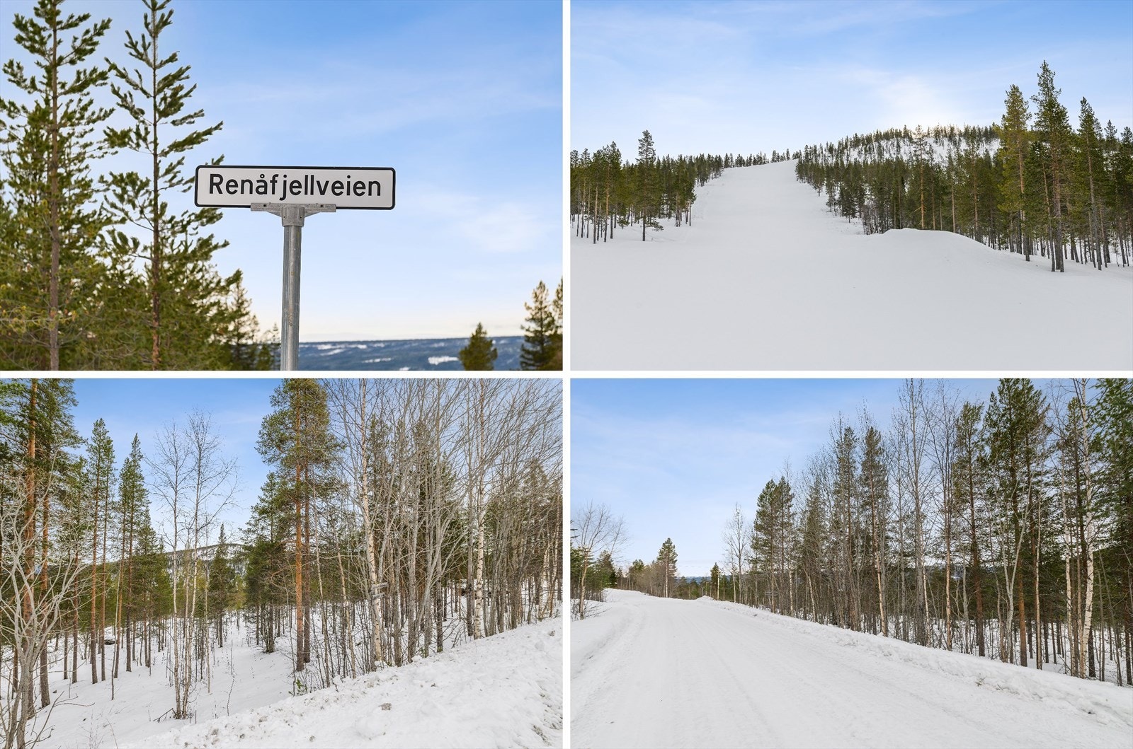 Collage Galleribilde