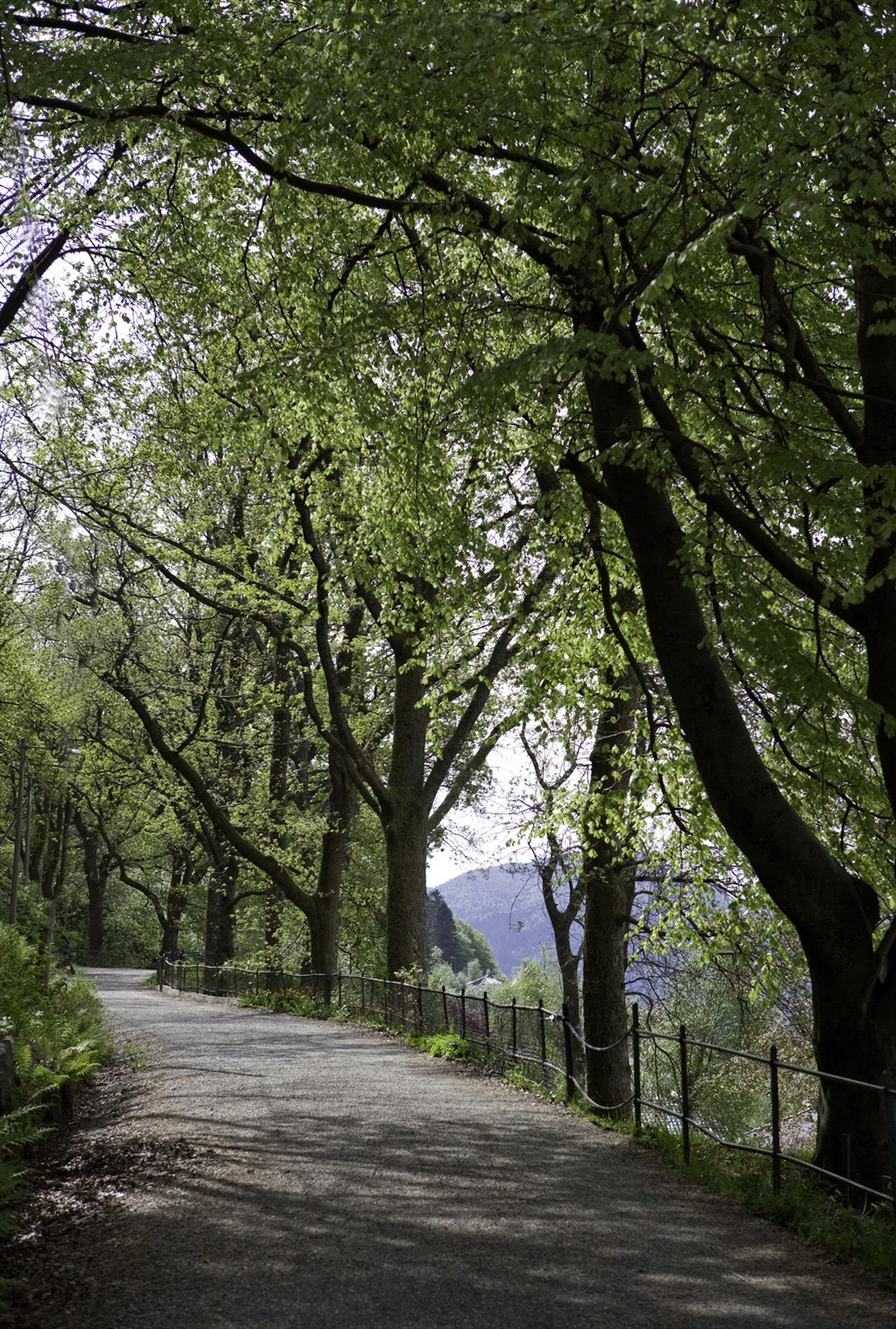 - Kort vei til både by og fjell Galleribilde