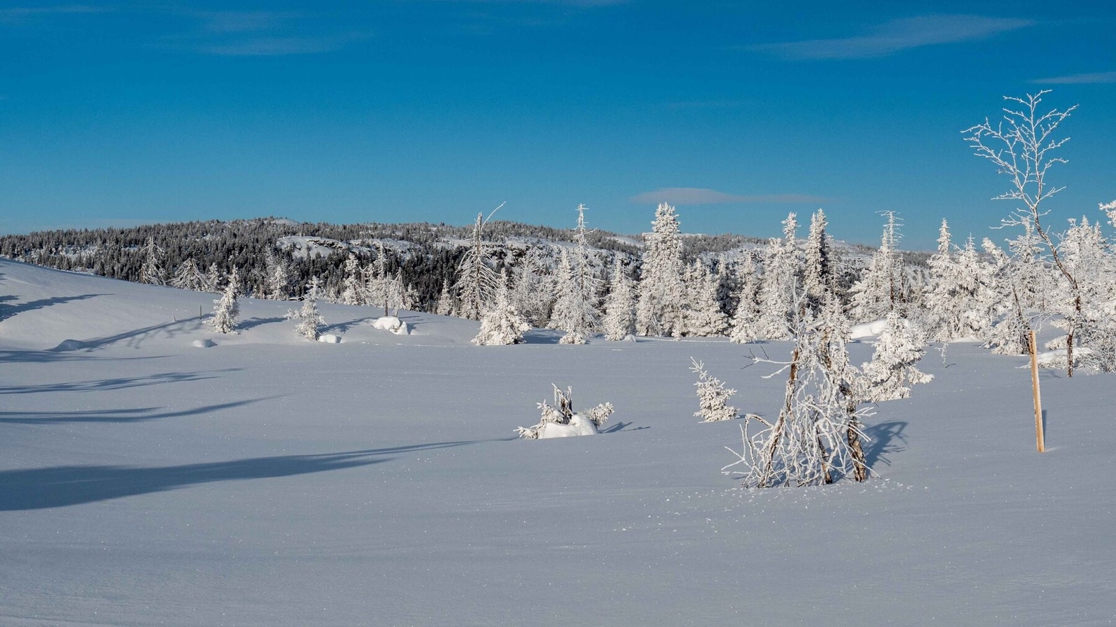 Foto fra tomtene. Her fra H10-1 mot vest
Foto J.G.Henriksen Galleribilde