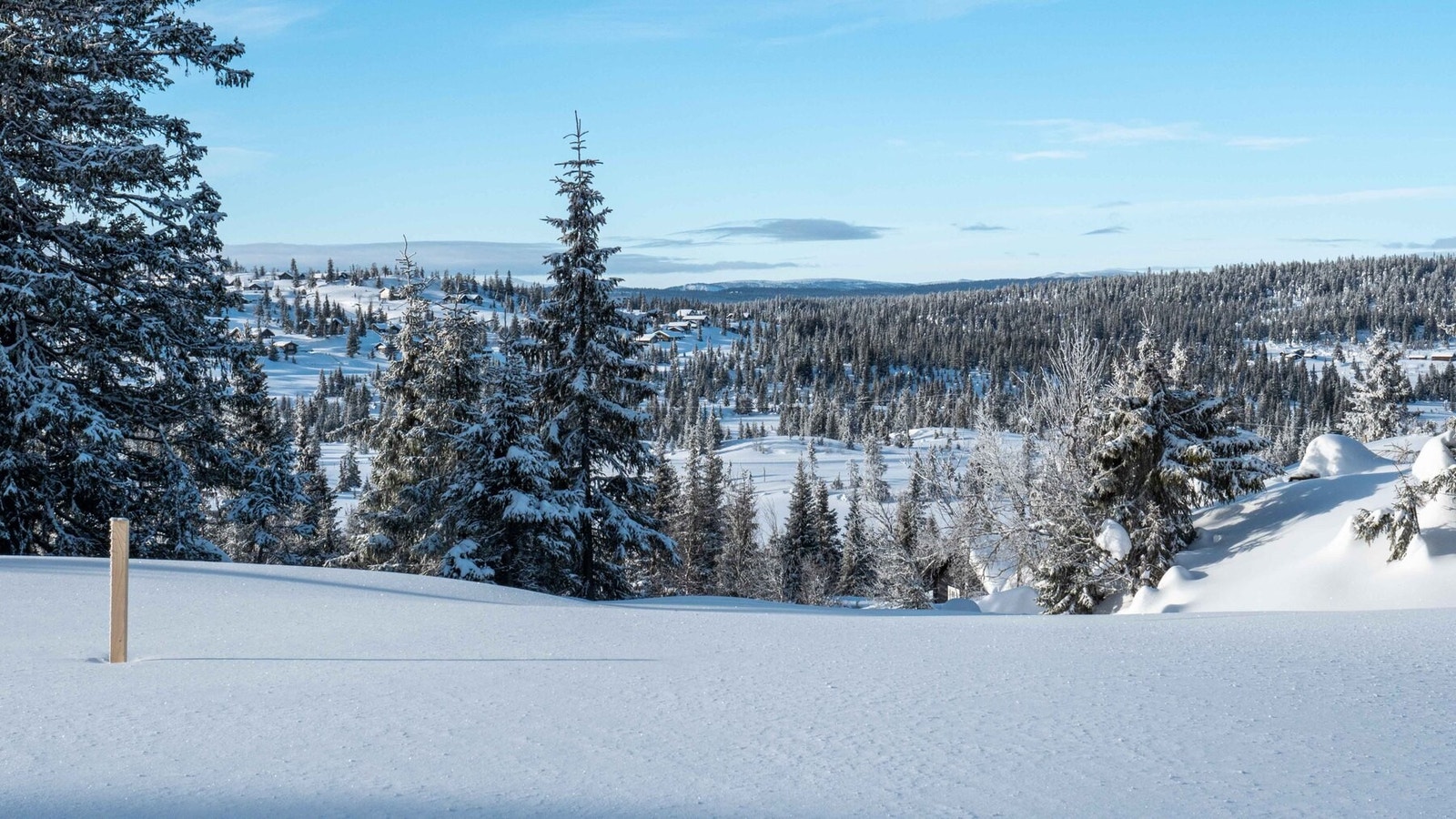 Fra tomteområdet mot sydvest.
Foto J.G.Henriksen Galleribilde