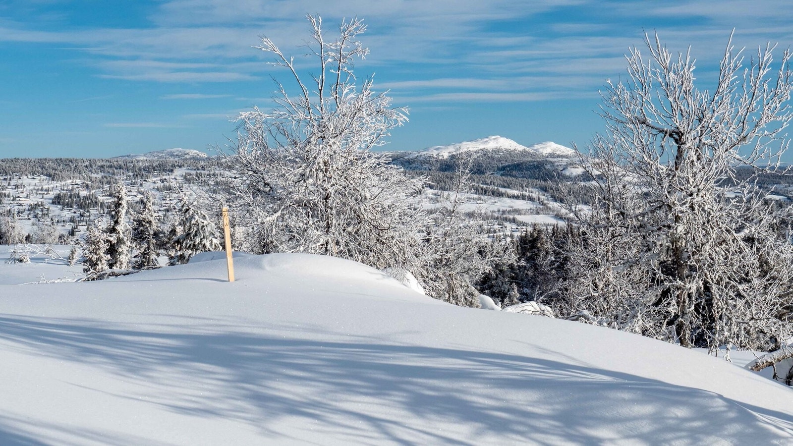 Foto fra tomt H12-3 mot Killiknappen i øst.
Foto J.G.Henriksen Galleribilde