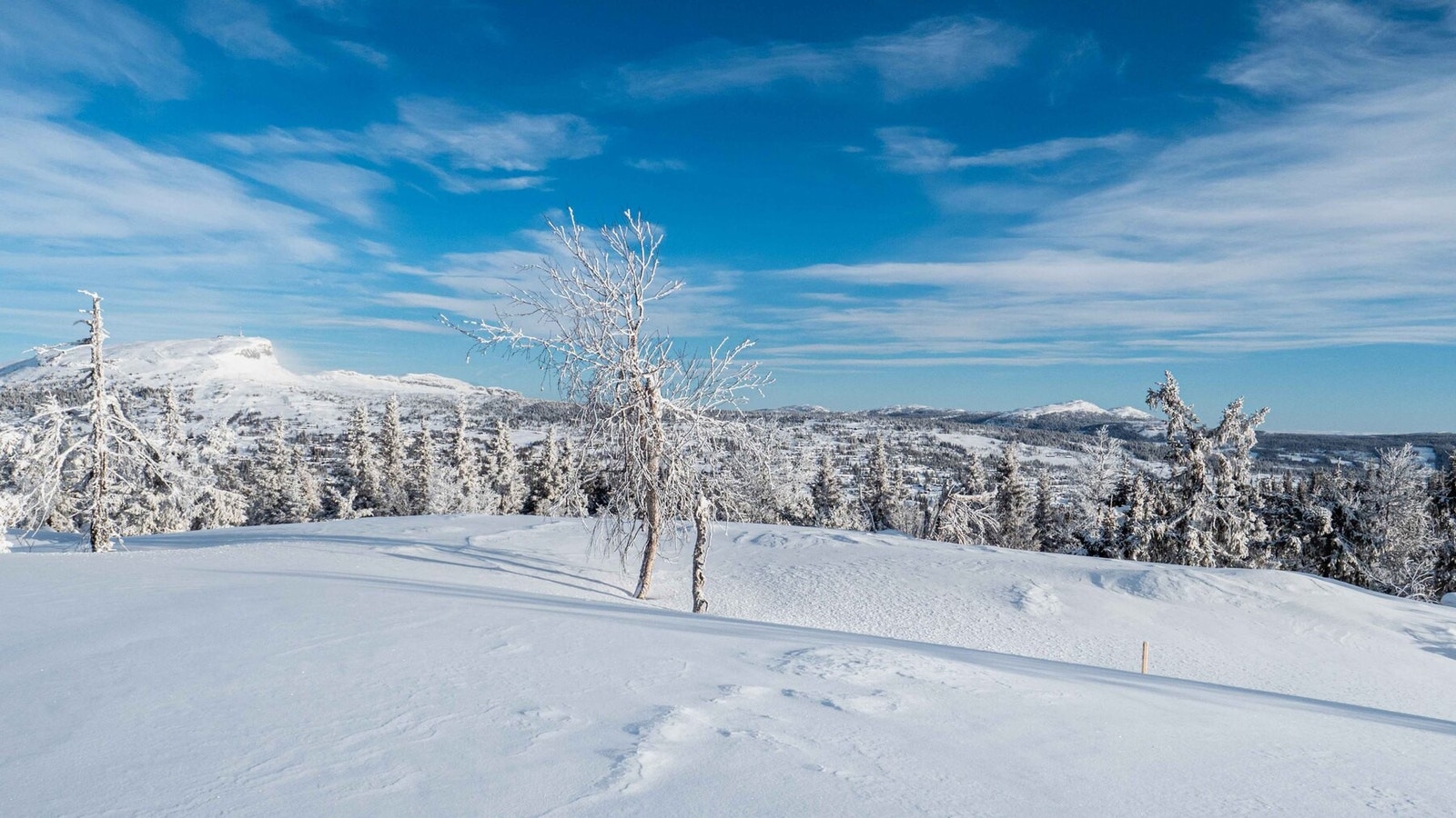 Foto fra tomtene. Her fra H10-2 mot Skei og Killiknappen
Foto J.G.Henriksen Galleribilde