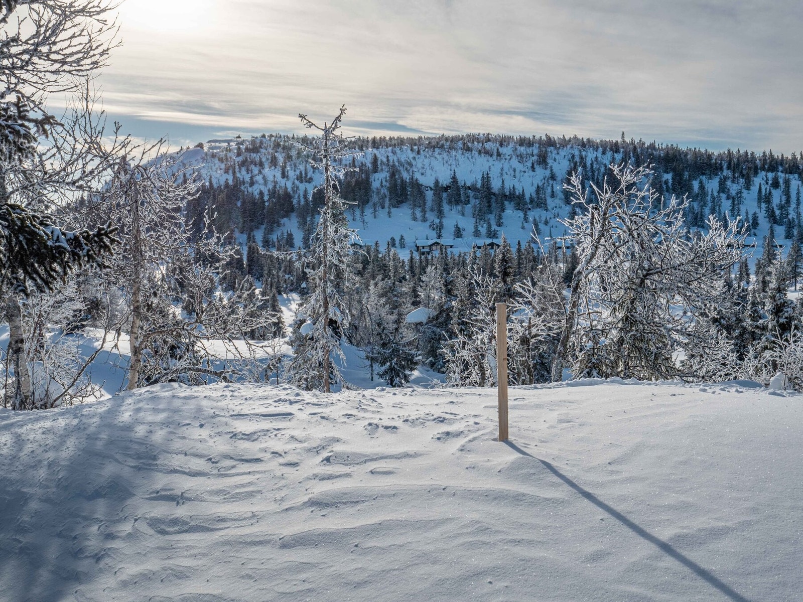 Utsikt mot Bjørga fra tomteområdet.
Foto J.G.Henriksen Galleribilde