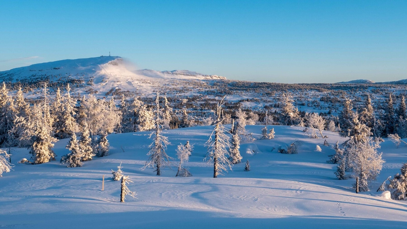 Foto fra tomteområdet
Foto J.G.Henriksen Galleribilde