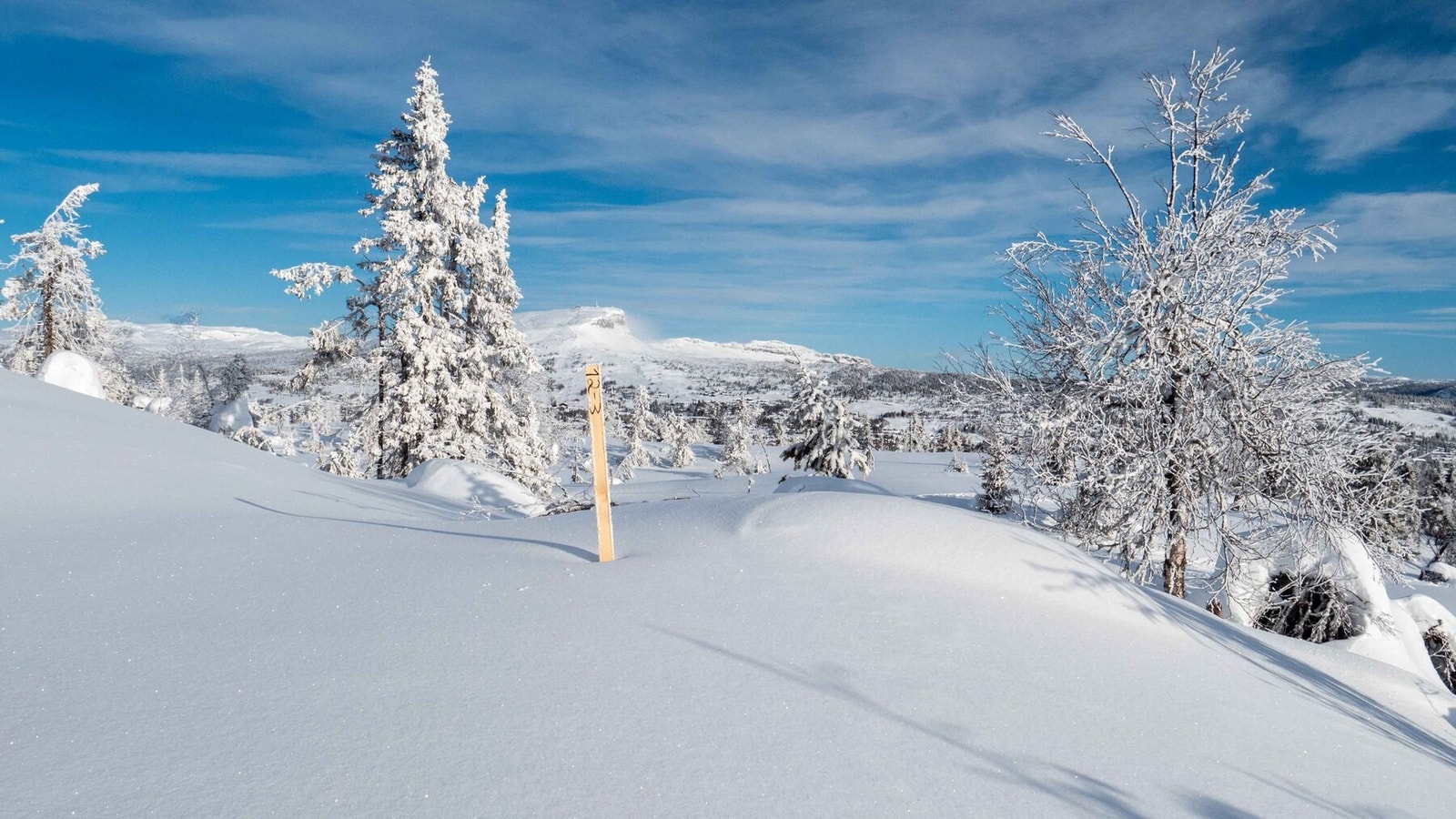 Foto fra tomt H12-3 mot Skeikampen i nordøst.
Foto J.G.Henriksen Galleribilde