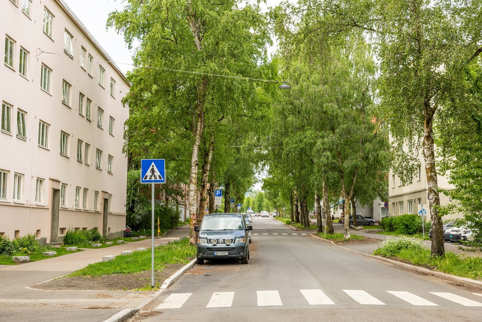 Nærområdet. Galleribilde