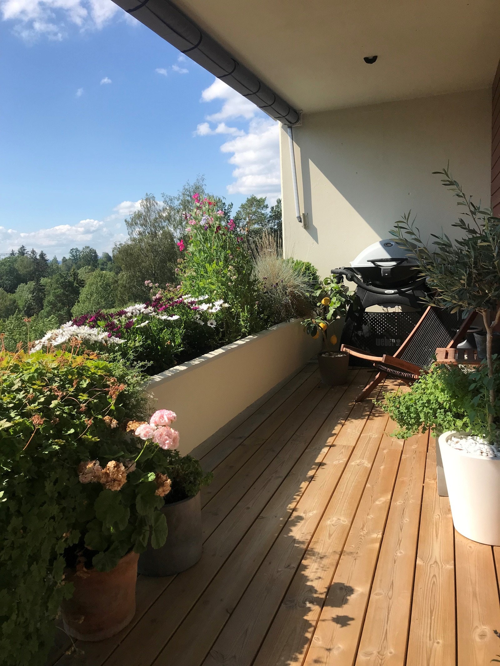 Foto tatt av selger på sommerstid. Galleribilde