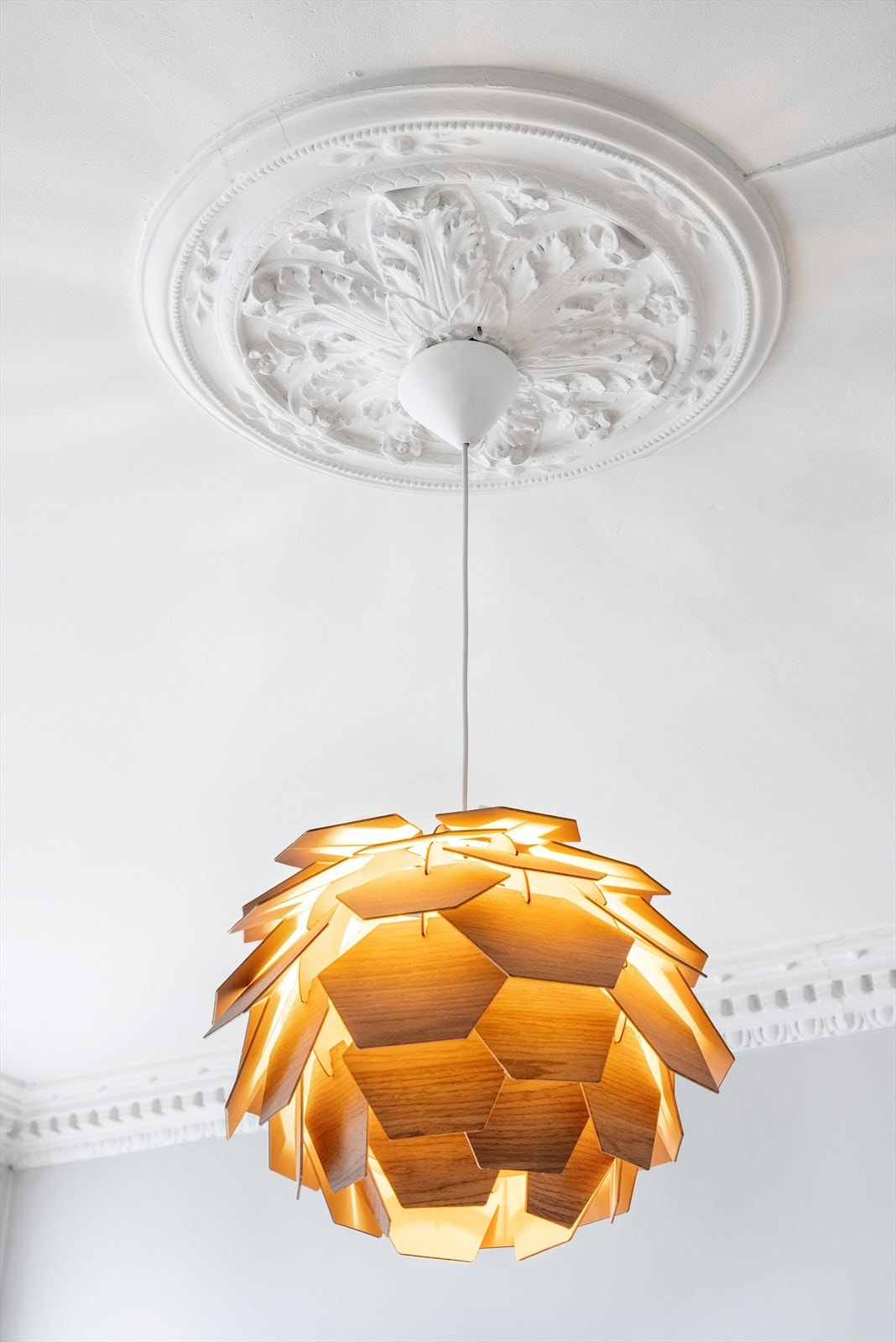 Malt himling med stukkatur og takhøyde på 2,96 meter. Galleribilde