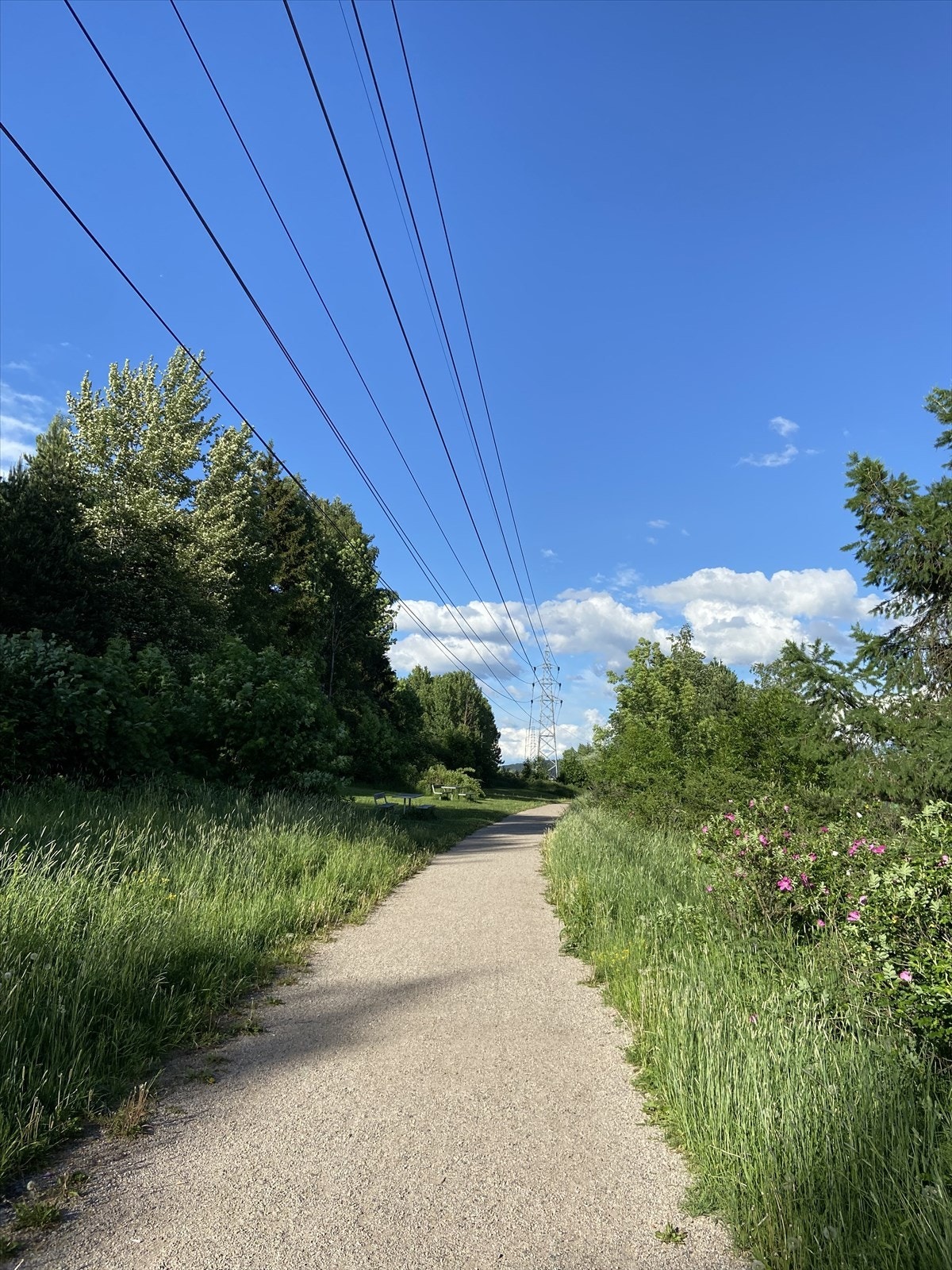 Tursti rett nedenfor leiligheten, som fører deg til Lillomarka. (Selgers private bilde) Galleribilde