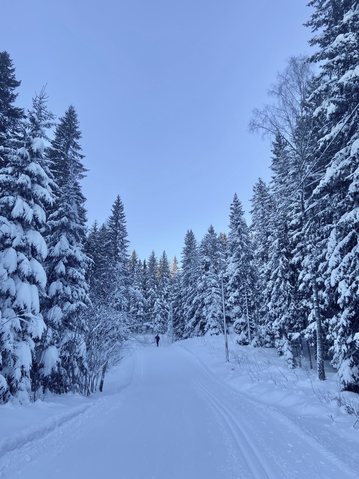 Skiløype - to busstopp til nærmeste skiløype i Lillomarka. (Selgers private bilde) Galleribilde