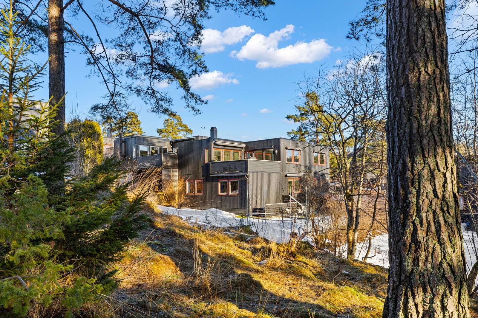 Boligen grenser mot idyllisk skogsområde. Galleribilde