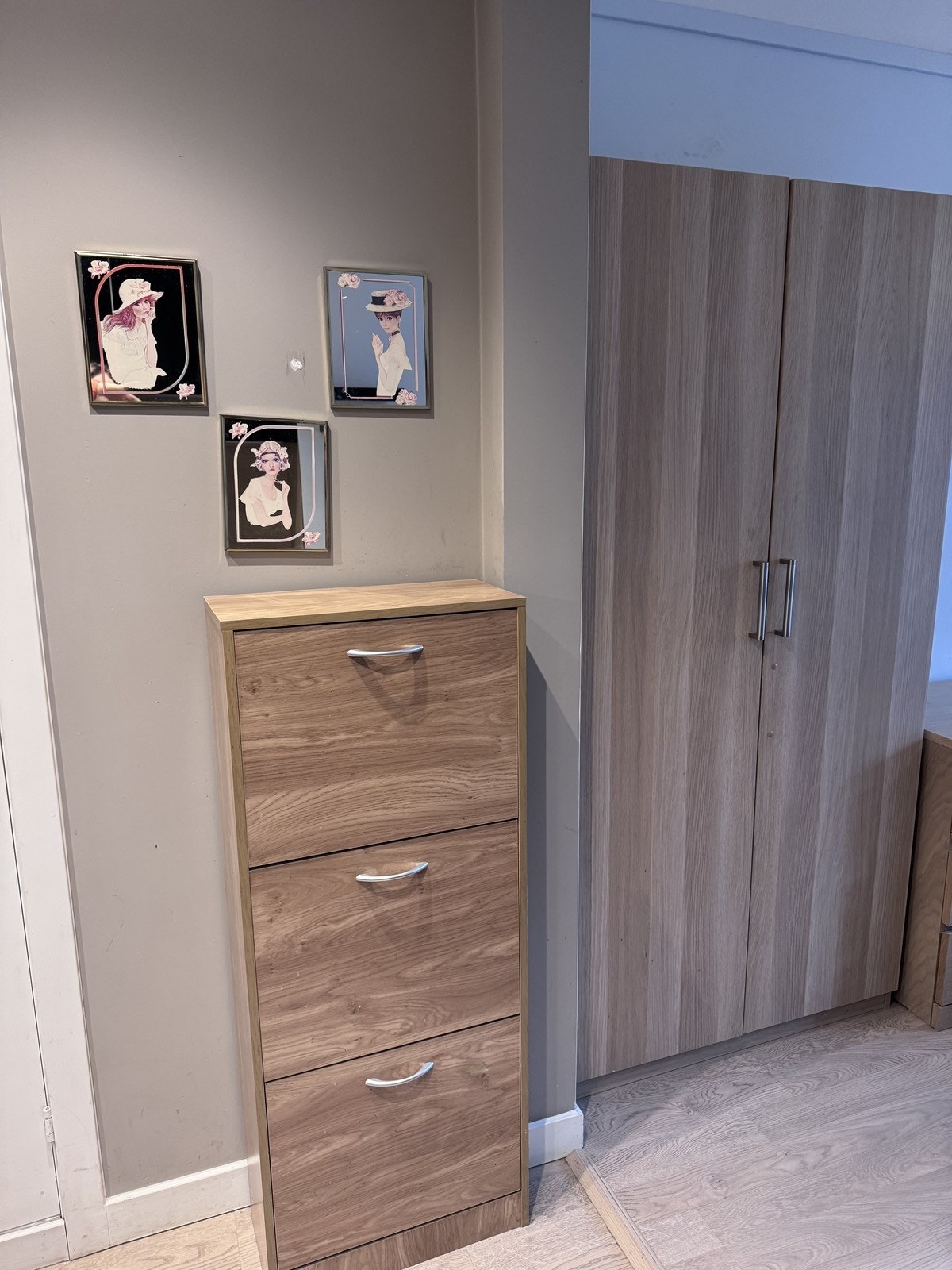 Oppbevaringsplass i entre Galleribilde