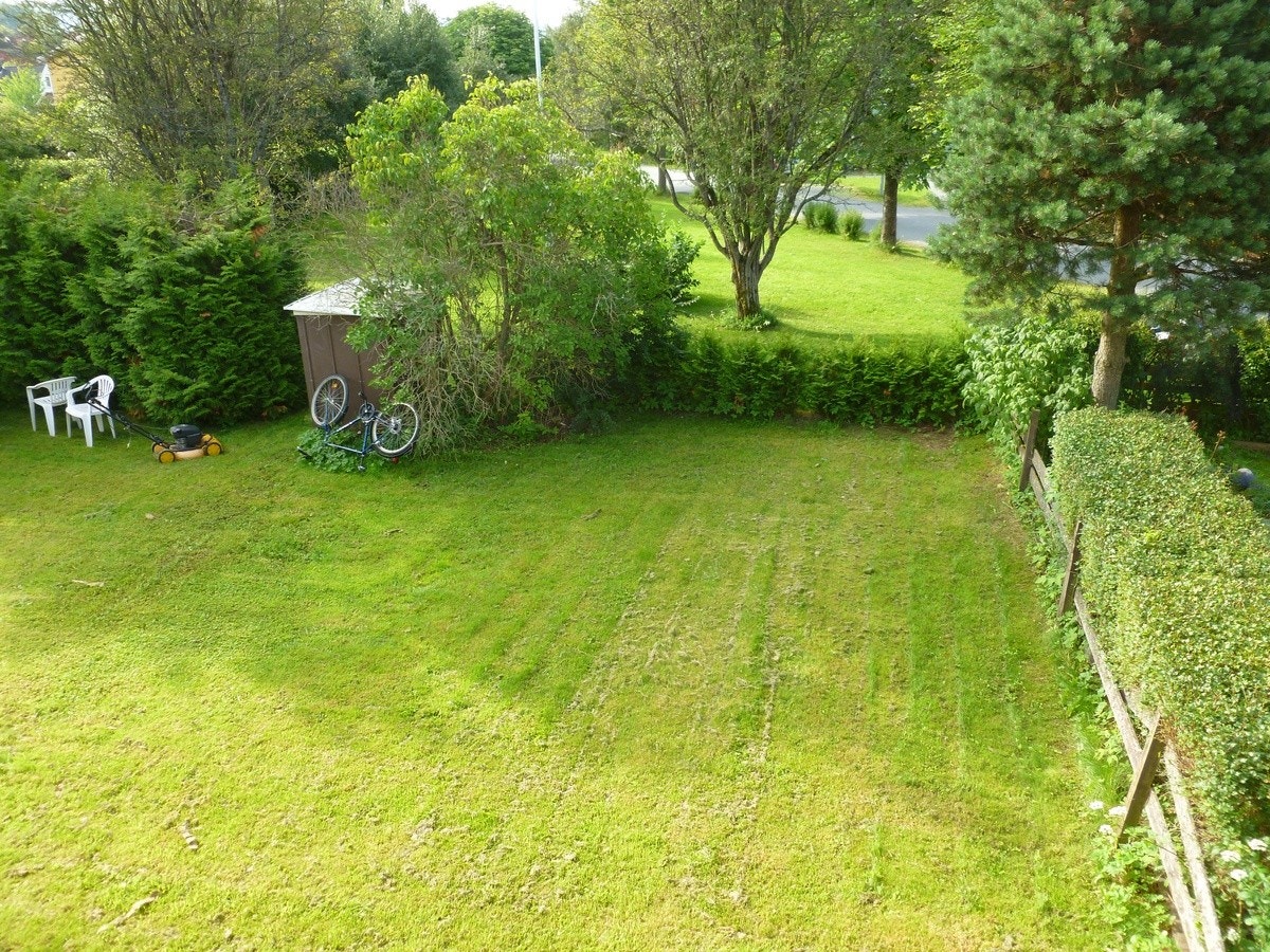 Privat hage. Galleribilde