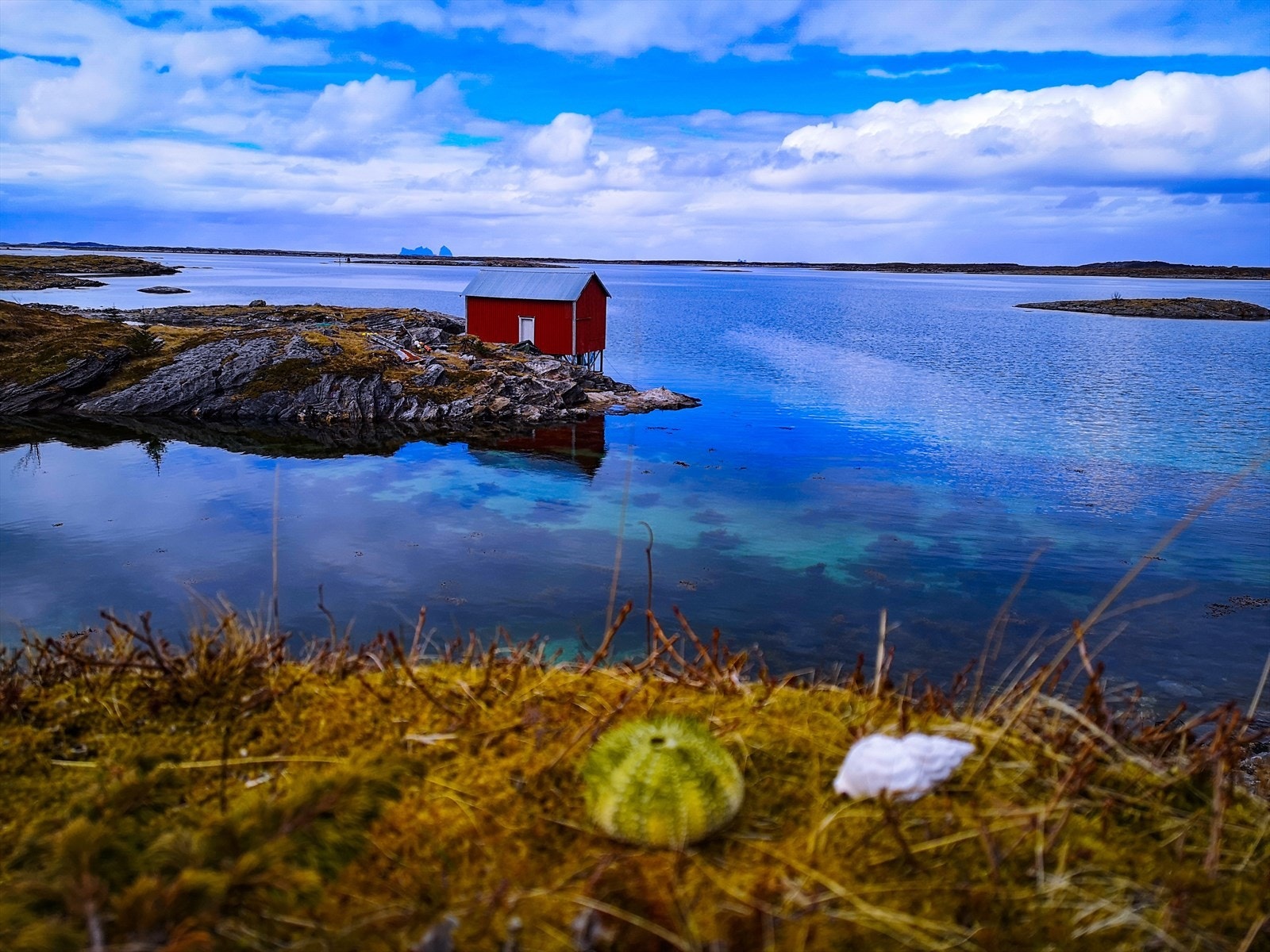 Slåtterøyveien 27, privat bilde av omgivelser. Galleribilde