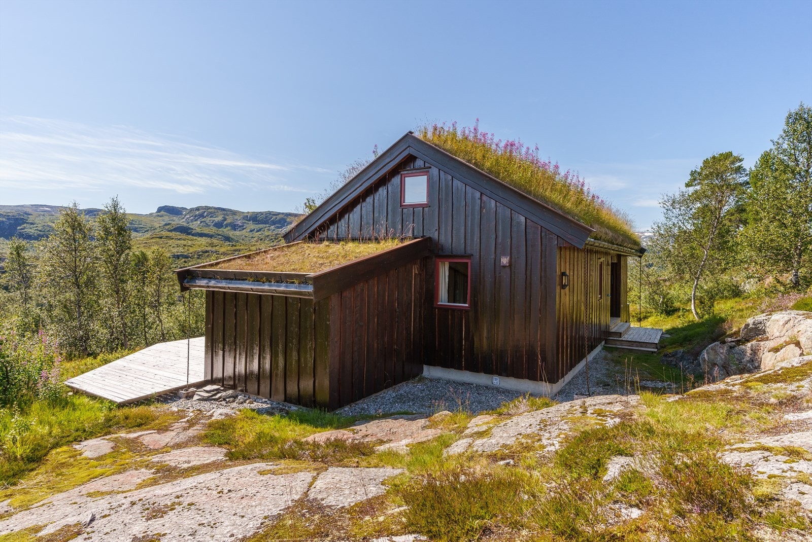 Stort sett naturtomt rundt hytten Galleribilde