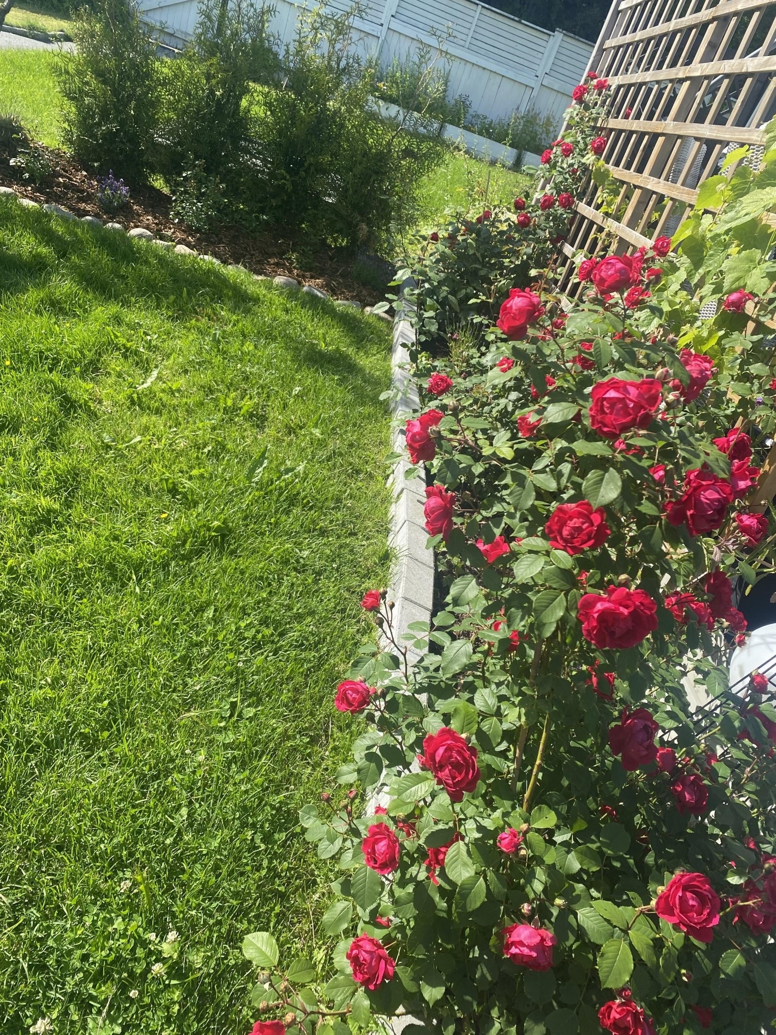 Her kan de minste leke fritt og trygt året rundt. Galleribilde