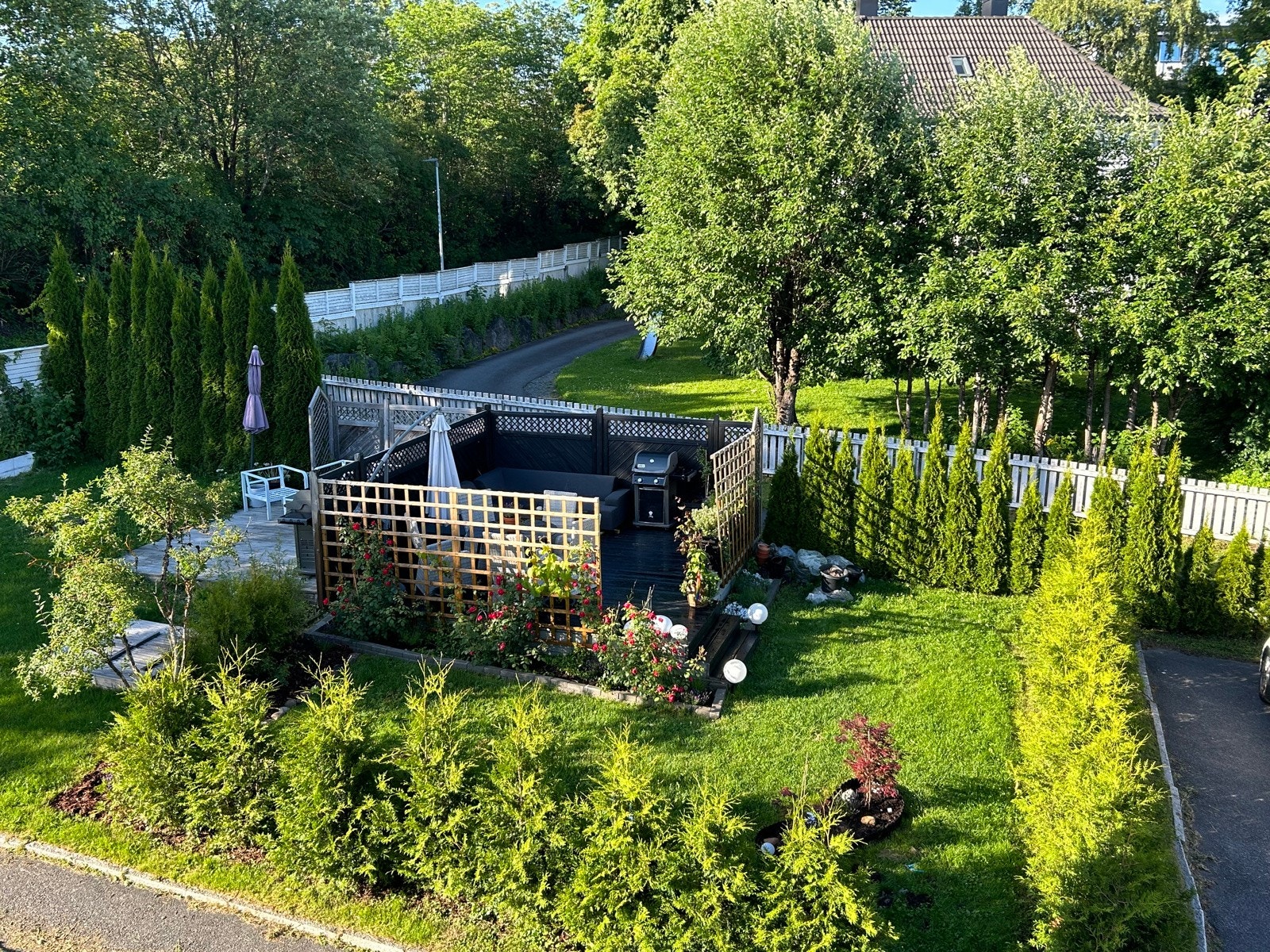 Den frodige hagen byr på blant annet japansk viftelønn, praktfulle roser og duftende lavendel. Galleribilde