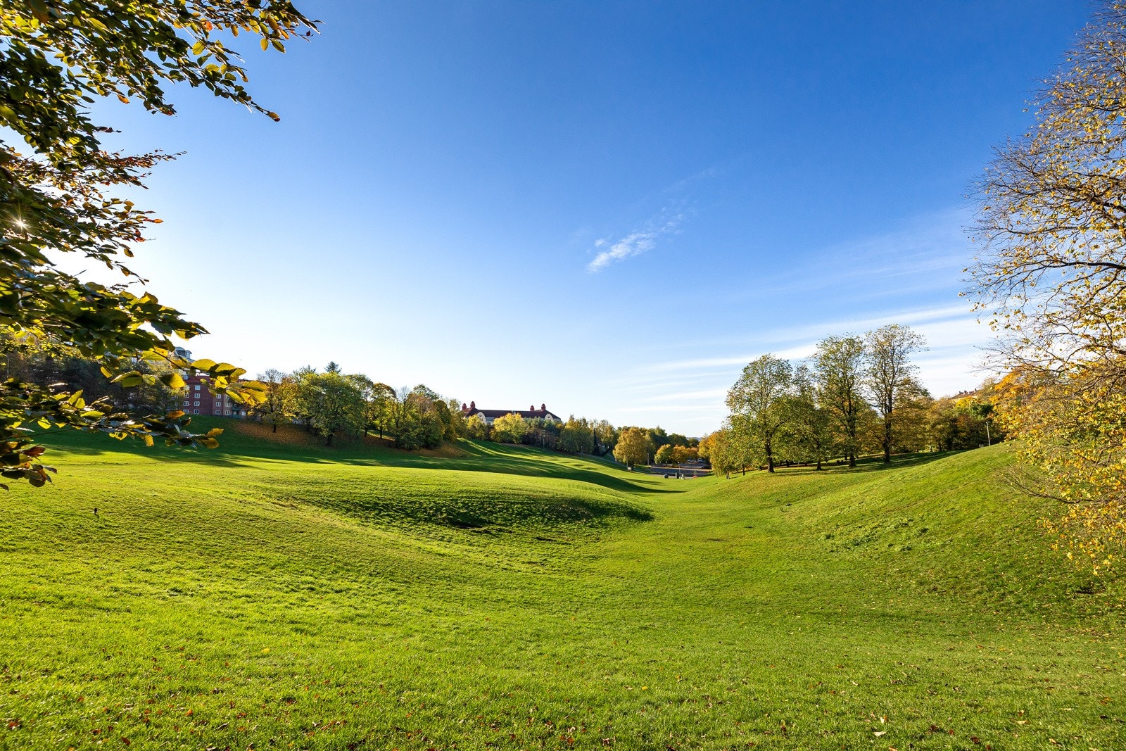 Nærområde Galleribilde