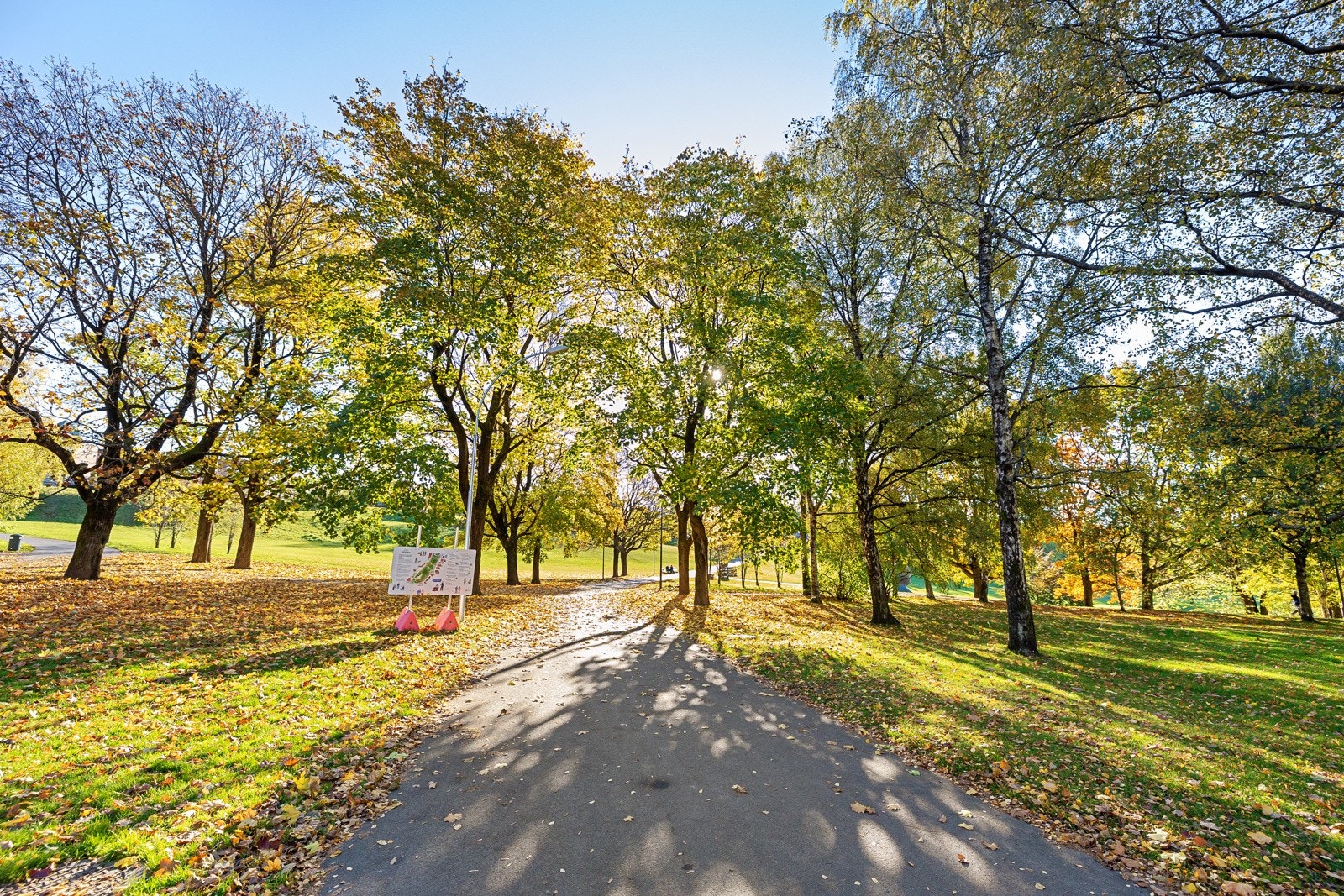 Nærområde Galleribilde